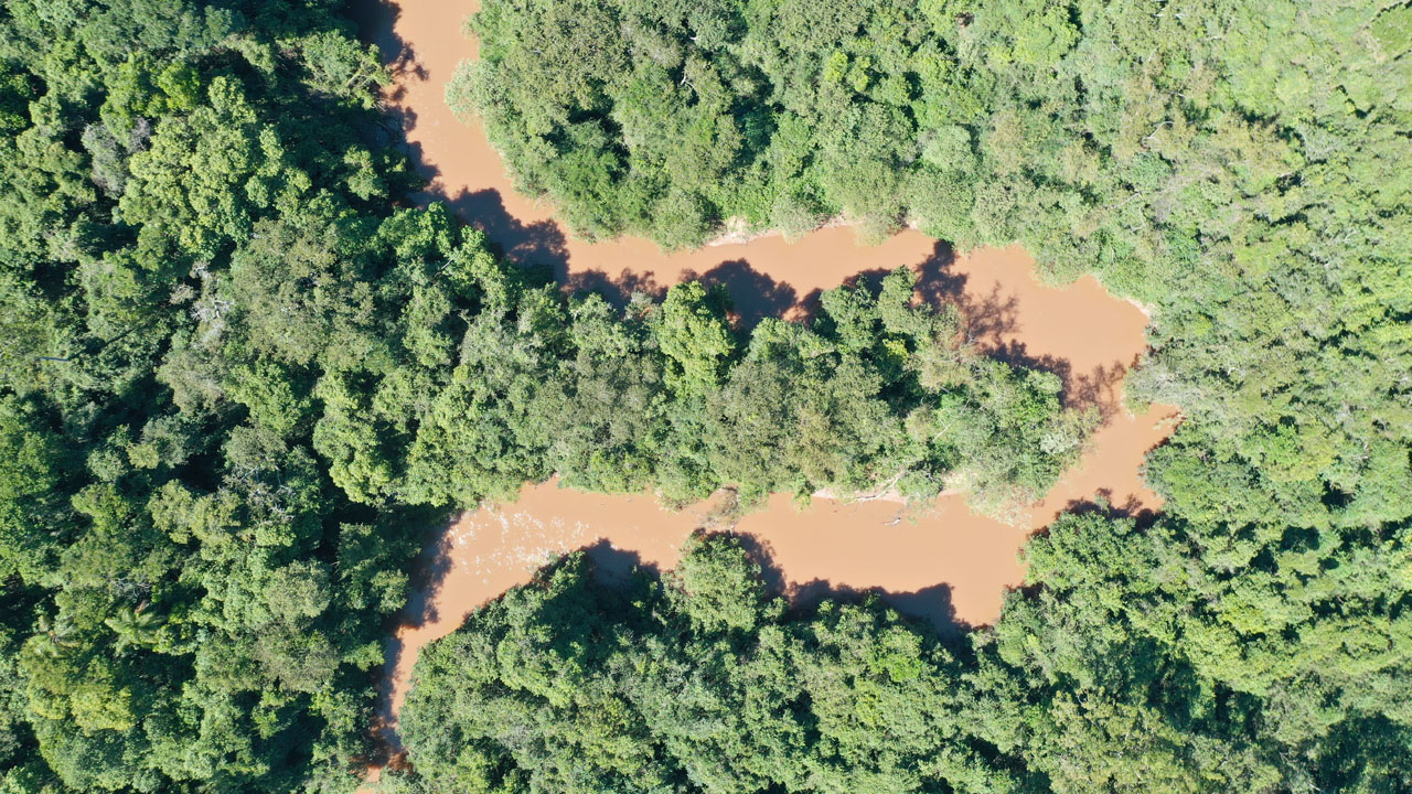 Área de Preservação Permanente - COAMI